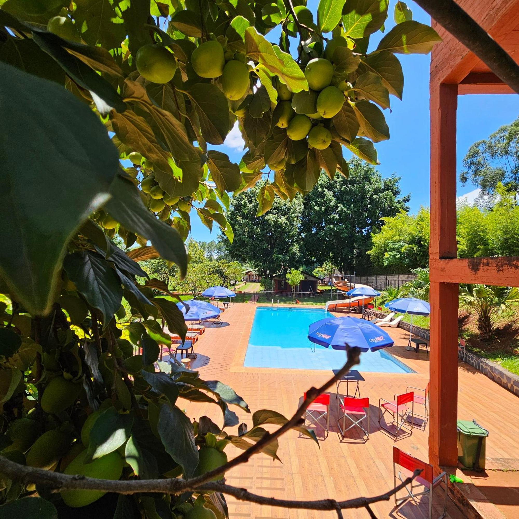 Cabañas El Refugio del Mensu Puerto Iguazú Exterior foto