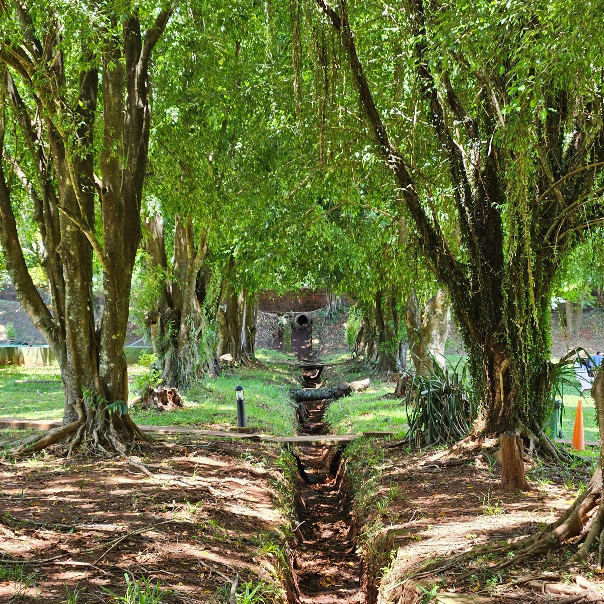 Cabañas El Refugio del Mensu Puerto Iguazú Exterior foto